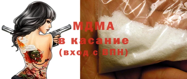 гашик Алексин
