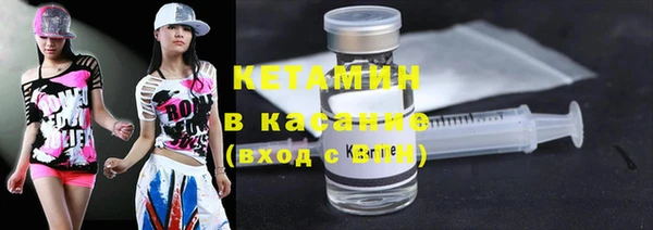 гашик Алексин