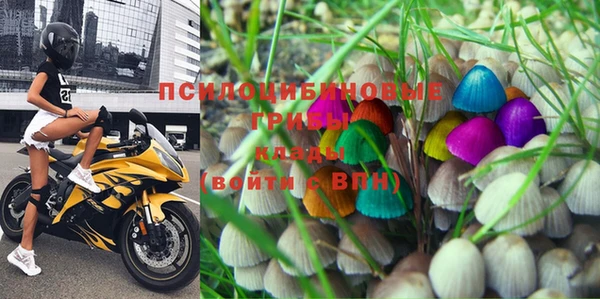 PSILOCYBIN Алексеевка