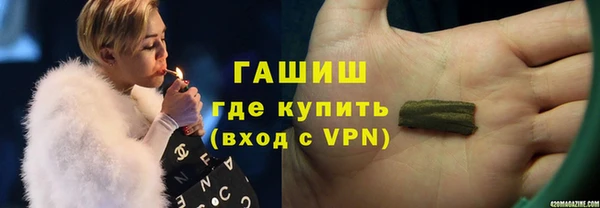 гашик Алексин