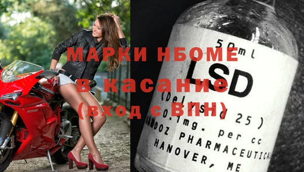 гашик Алексин