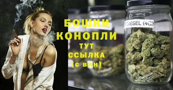 гидропоника Алзамай