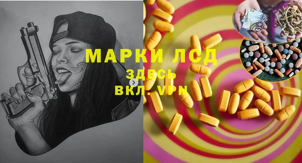 гашик Алексин