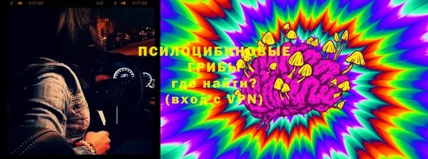 гидропоника Алзамай