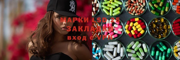 гашик Алексин