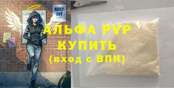 гашик Алексин