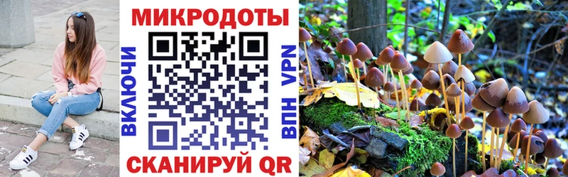 Галлюциногенные грибы Psilocybine cubensis Волоколамск